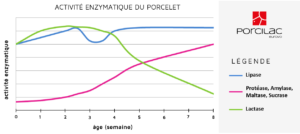 ACTIVITE ENZYMATIQUE DU PORCELET
