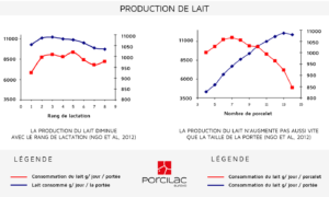 PRODUCTION DE LAIT CHEZ LA TRUIE